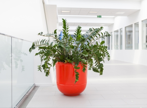 Poterie BOBOLI FLASHY Ø 90cm x h 90cm