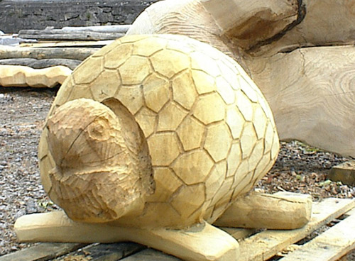 TORTUE