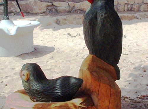 LE NID D'OISEAU